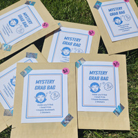 Small Mystery Grab Bag - Thumbnail 1