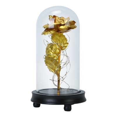 Foil Rose LED String Light Rose Fairy Lamp w/ Glass Dome For Valentines ?  Day Mother ? s Day Wedding Birthday-Gold