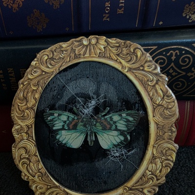 Broken glass butterfly specimen 3d art print 