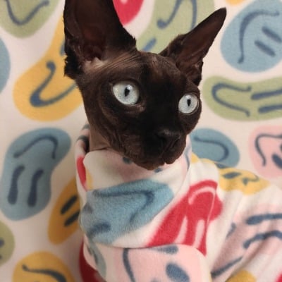 Fun house smiley - fleece - Thumbnail 1
