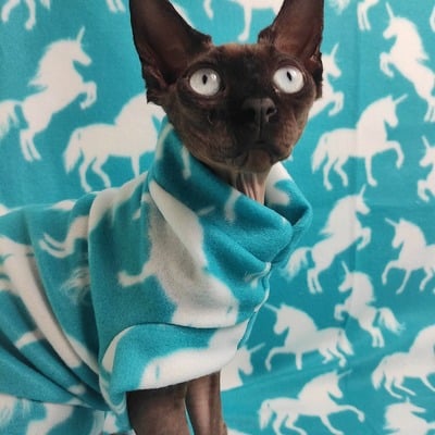 Be the unicorn (aqua) - lightweight fleece - Thumbnail 1