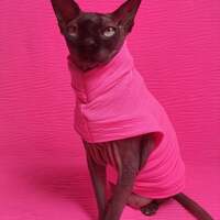 Neon Pink Wrinkle - Thumbnail 1