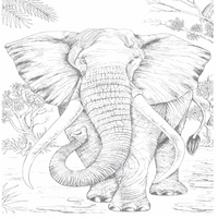 Coloring Book - 110 Animals Full Page Coloring Book, Printable , Grayscale Coloring Book for Adult Kids, Cute Life Animals - Thumbnail 2