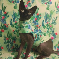 Cacti - Sleepwear - Thumbnail 2