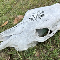 Vegvisir Cow Skull - Thumbnail 1