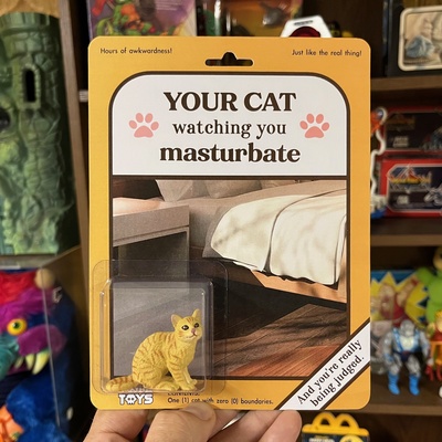 Watching Cat - V2