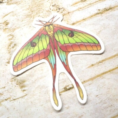 Lunar moth sticker - Thumbnail 1