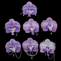 Pierced Orchid Hairclip/Keychain - Thumbnail 5