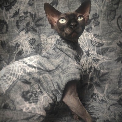 Inter-webs - luxe fleece - Thumbnail 1