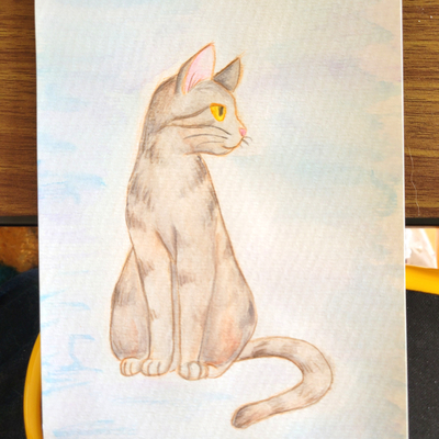Cat