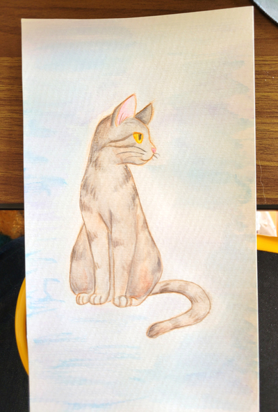 Cat