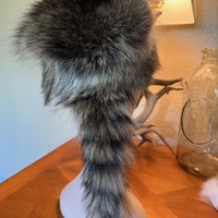 Childrens coon skin cap  - Thumbnail 2