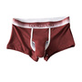Men's sexy underwear mesh holes breathable youth elephant tube physiological boxer briefs L482  -1