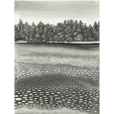 Sellwood 