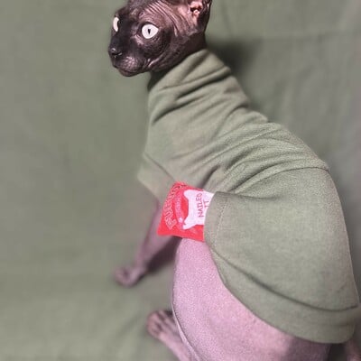 Stash cat - distressed green - Thumbnail 1