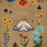 Faune et flore de Dornatch - Thumbnail 2