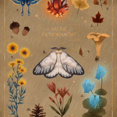 Faune et flore de dornatch