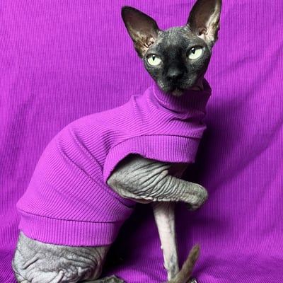Imperial purple - ribbed for her pleasure  - Thumbnail 1
