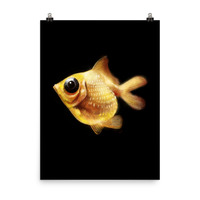 Goldfish Poster - Thumbnail 9