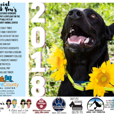 Pets around blount county: 2018 calendar
