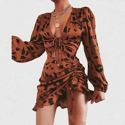 Print leopard deep v long sleeve dress